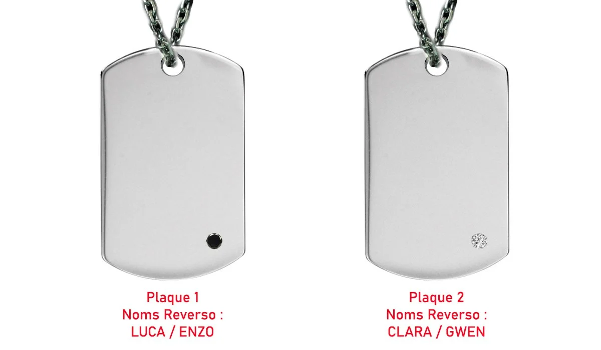 plaques OK.jpg