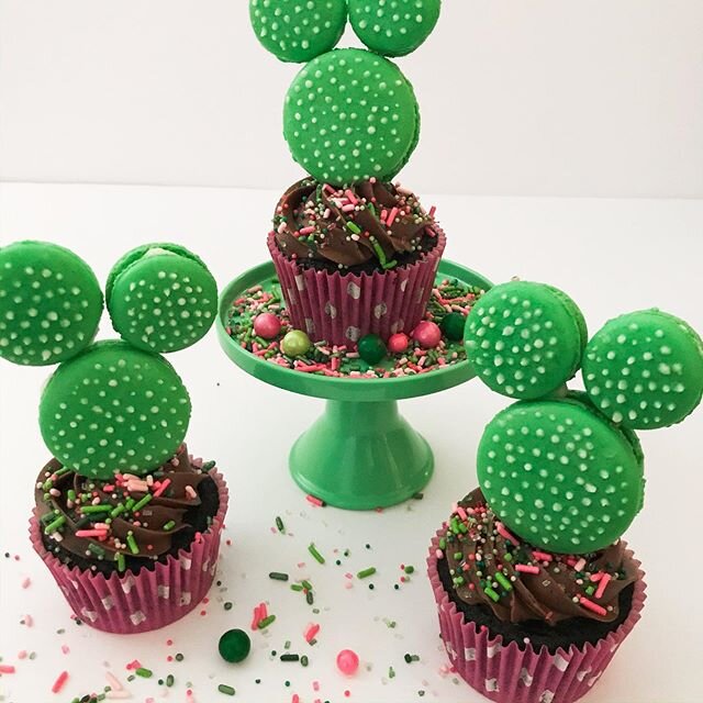 Happy Cinco de Mayo! We love this sprinkle mix from @sprinklepop.shop&mdash;it&rsquo;s called Killarney Rose but we&rsquo;ve used it for cactus macarons 🌵
#kbsweets #kbsweetschatt #cactusmacarons #frenchmacaron #macaronfeet #cincodemayocupcakes #cin