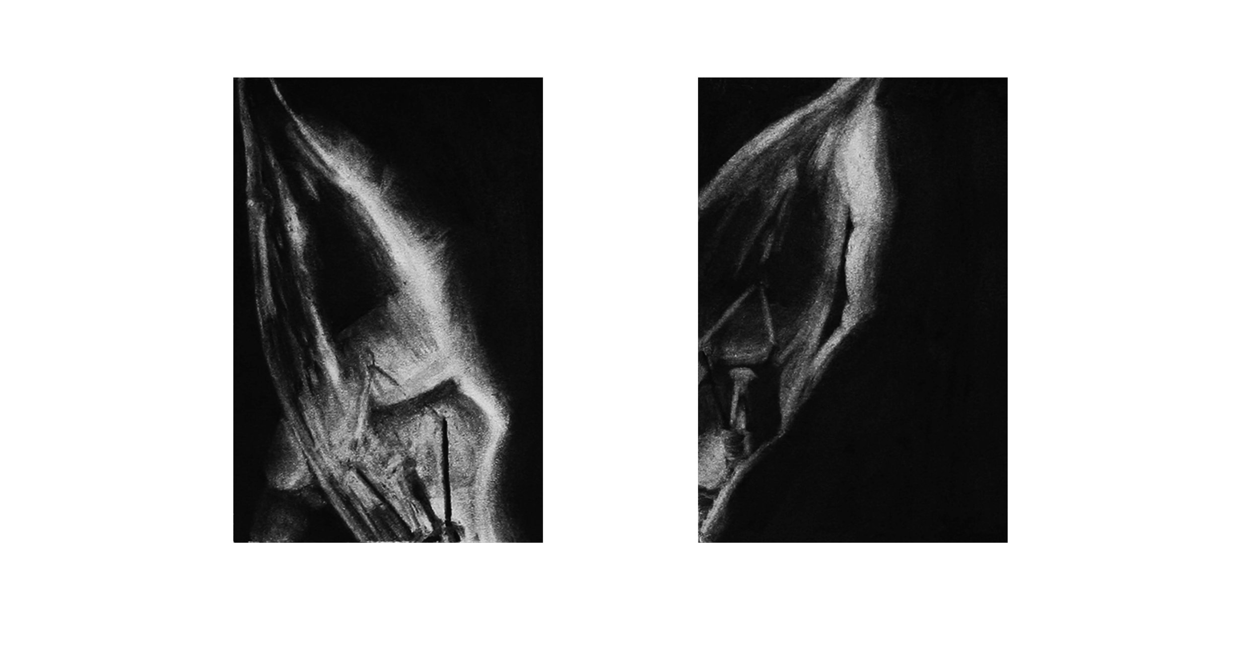 form study (bulb) 4.jpeg