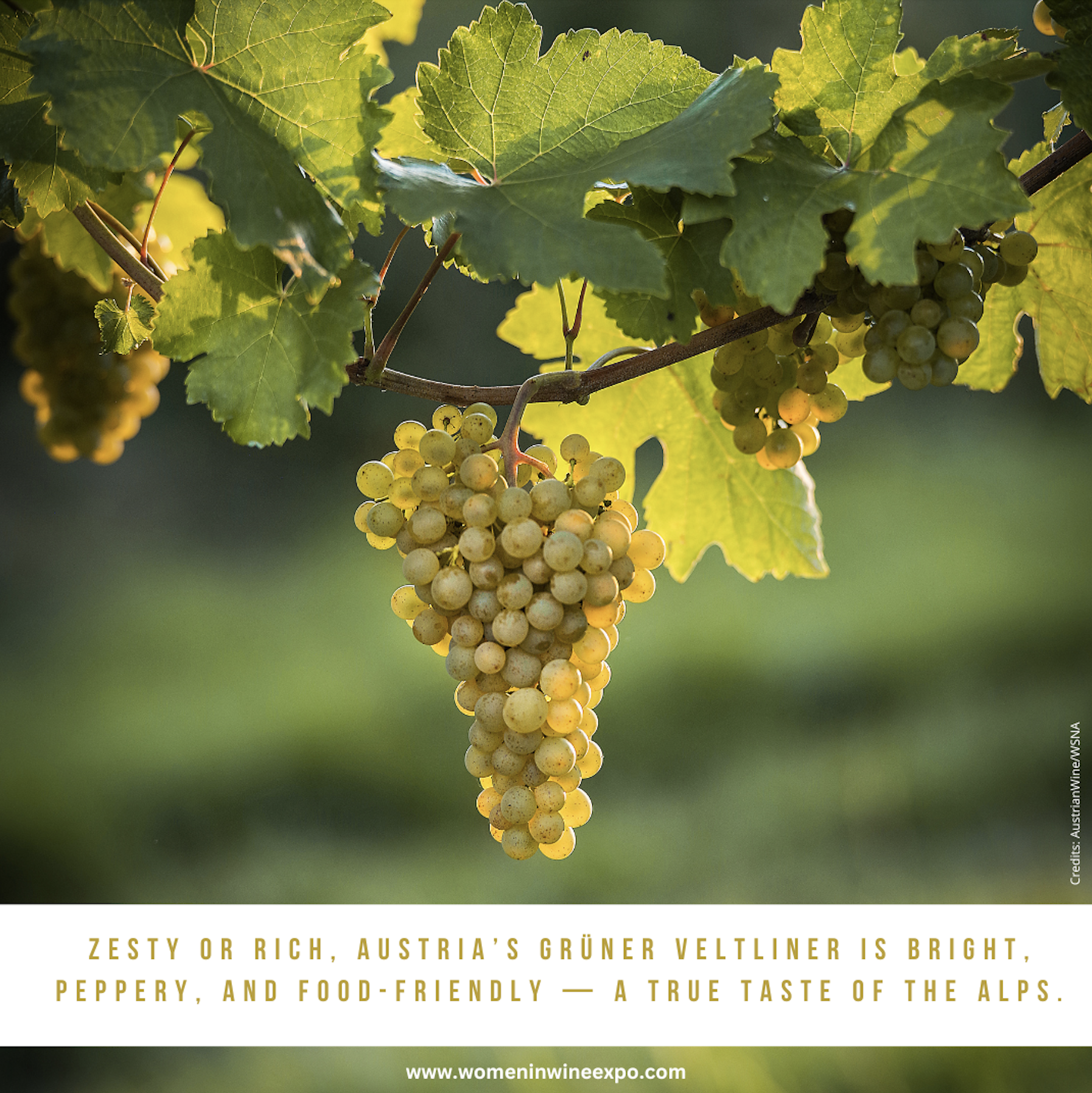 Scherm­afbeelding 2026-01-10 om 12.23.56.png