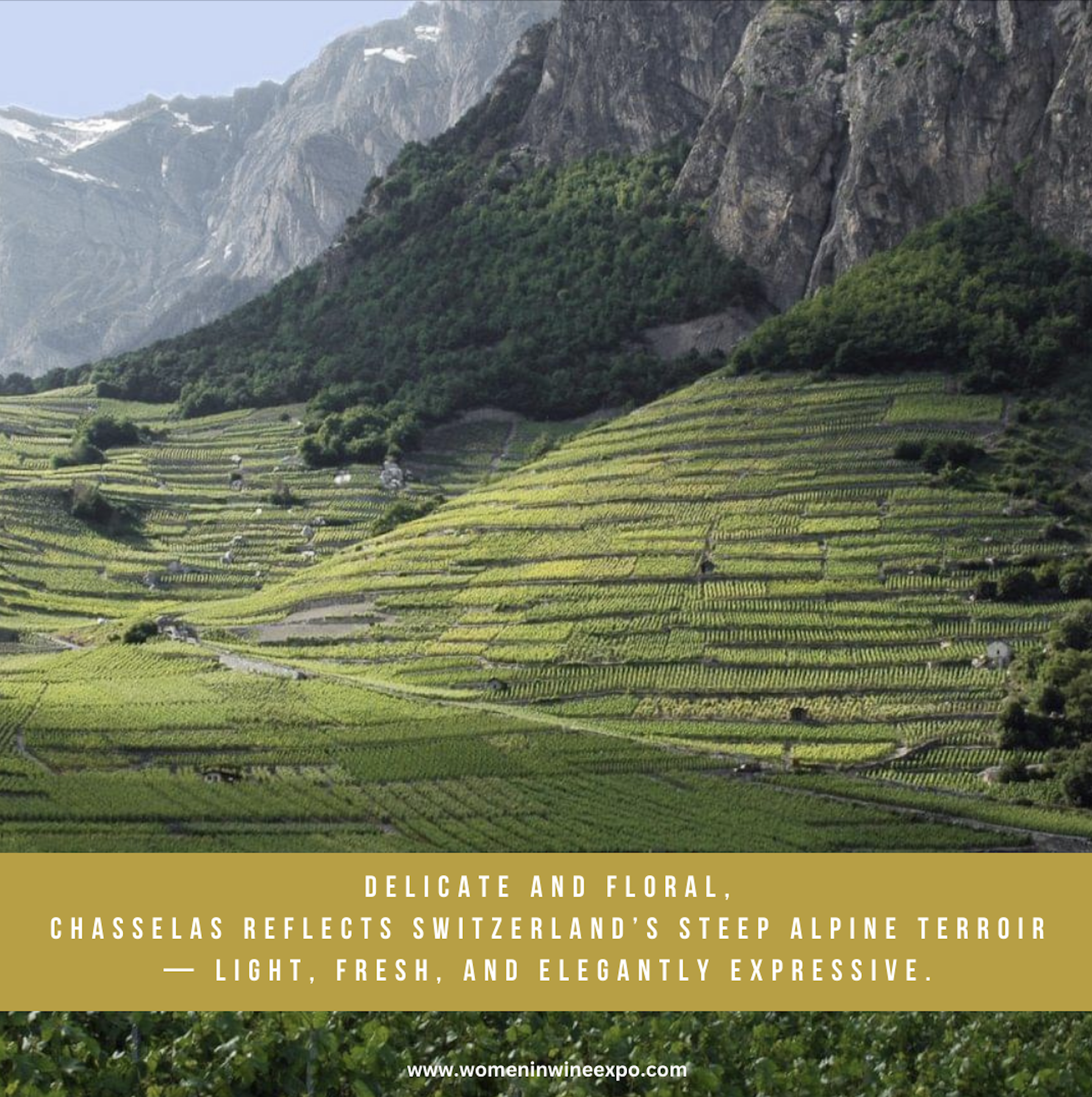 Scherm­afbeelding 2026-01-10 om 12.23.03.png