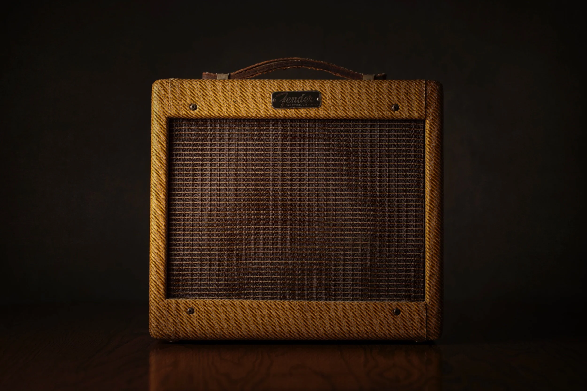 Fender Champ Amp - 1960s