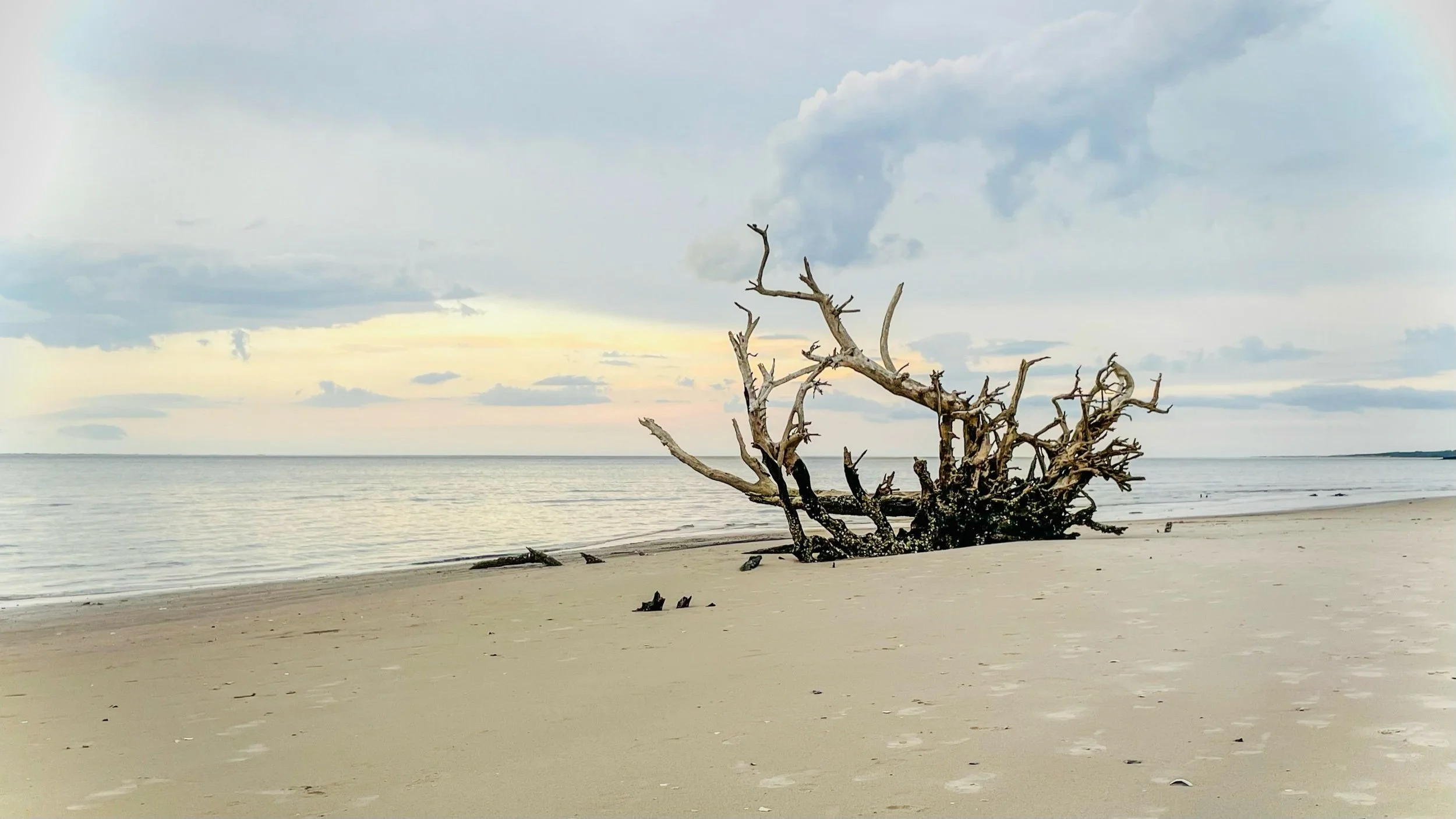 Boneyard Beach