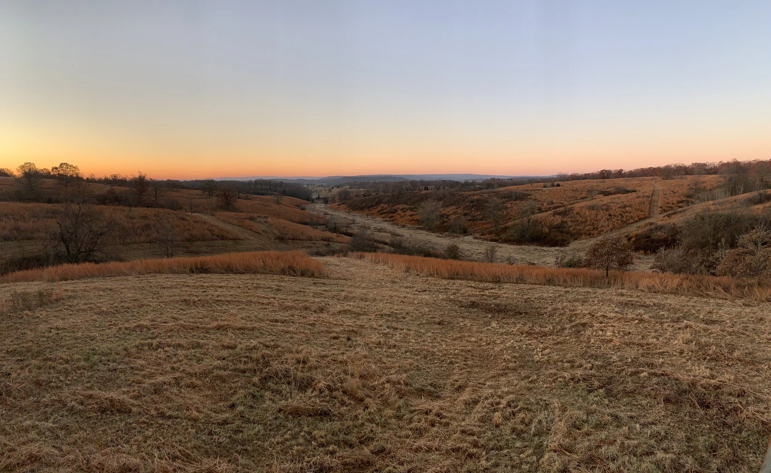Spring Creek Outfitters Arkansas Deer And Bird Hunting Guides