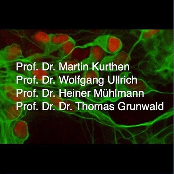 Kulturtheorie und Neuroforschung