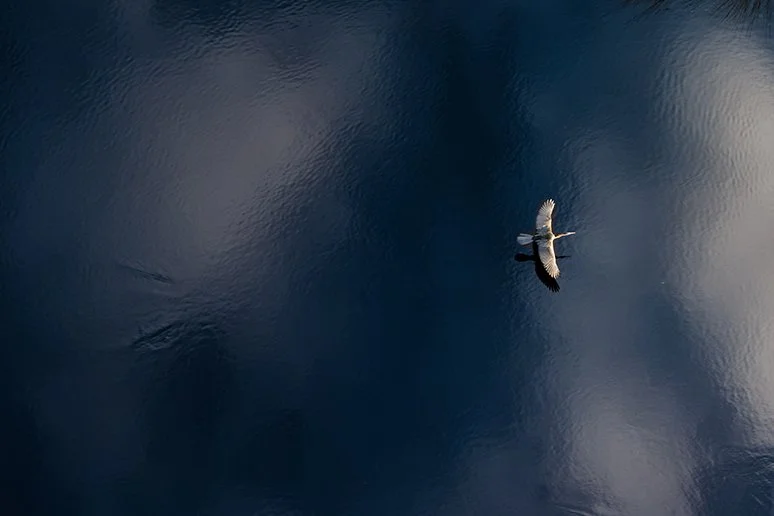 I’ll be gone anyway, so why plan my funeral?