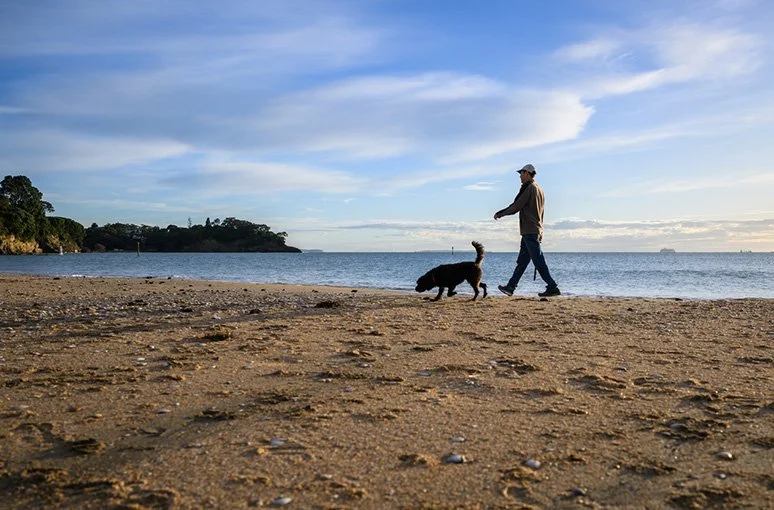 The importance of including your pets in your estate and incapacity planning