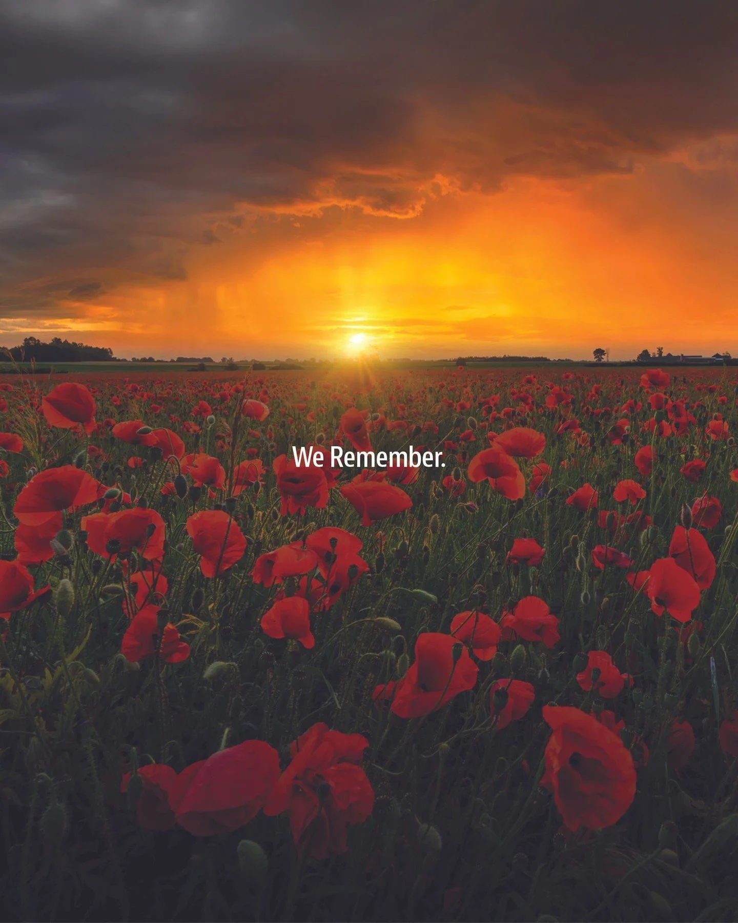 On this Day of Remembrance, we honour the brave men and women who served and sacrificed for the freedoms we enjoy today.

To all who have worn the uniform, and to those who continue to serve &mdash; thank you.

 It is our honour to carry your memory 