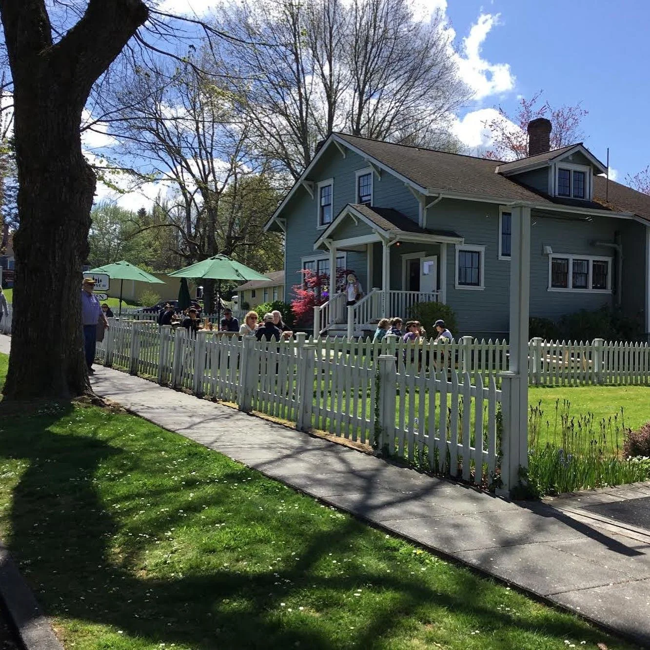house11.jpg