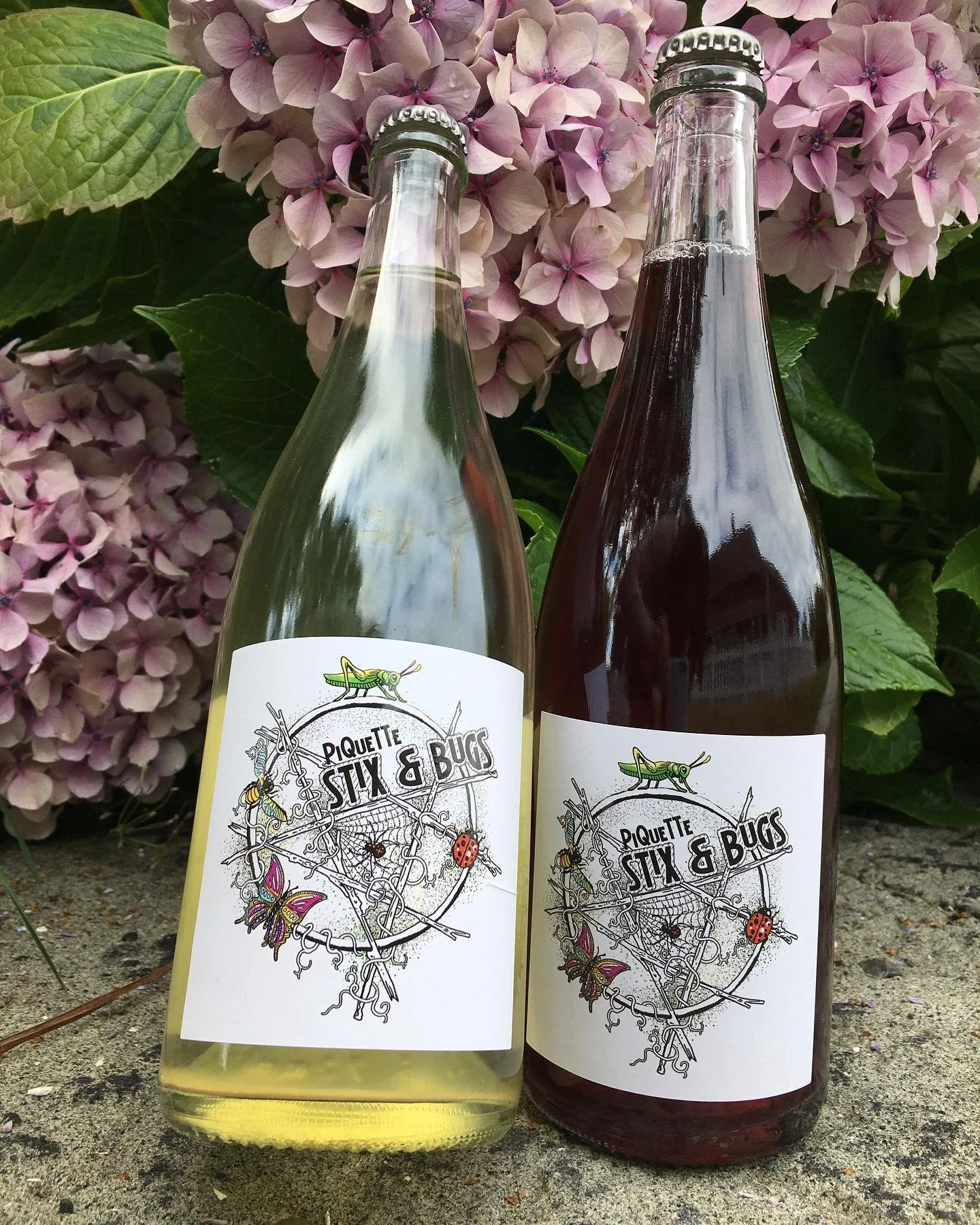wine.jpg