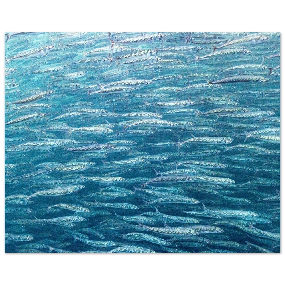 tmp-330-BXGoWfNZUAM0