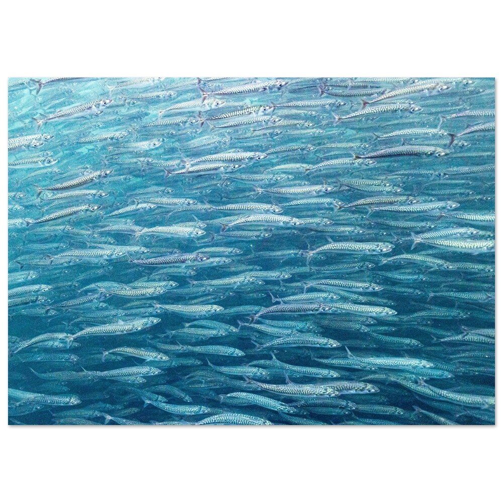 tmp-330-YcTtkTIEOjSH