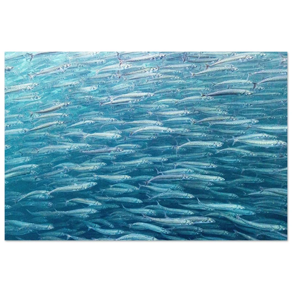 tmp-330-7dMMbS9jdhHD