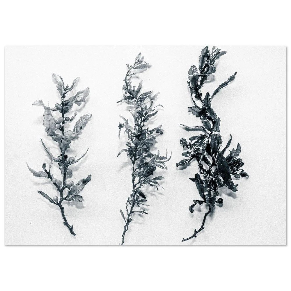 tmp-16723-IyjkcNs2l1C1