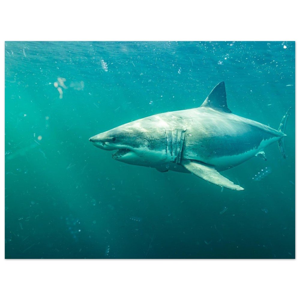 tmp-8815-eOAmvHeOE1hn