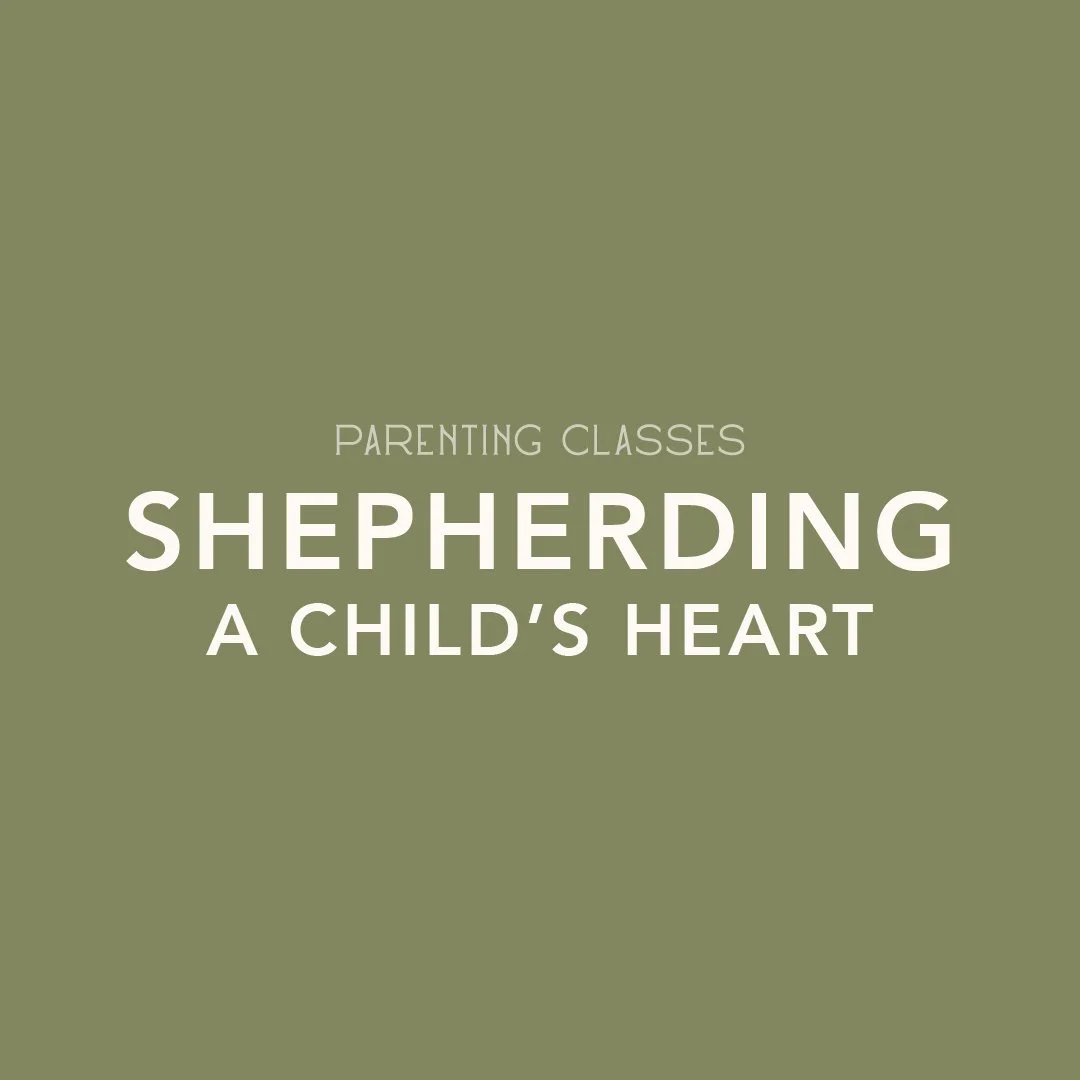 Shepherding a Child's Heart