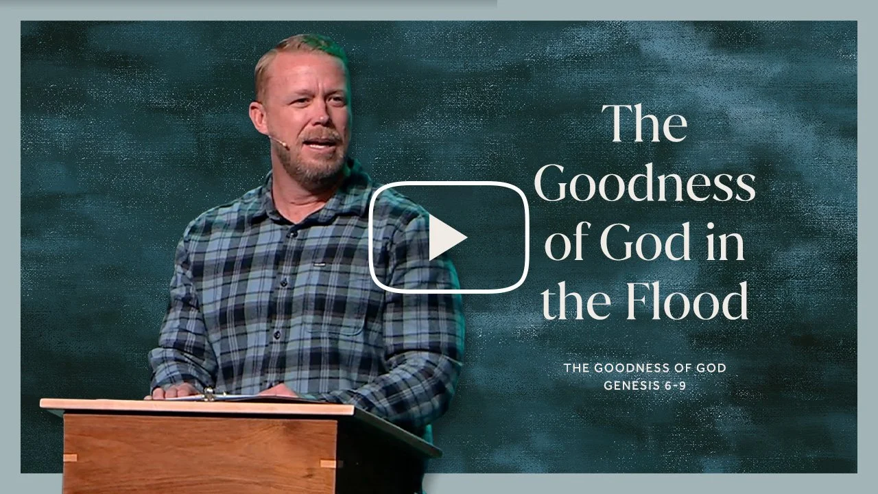 The Goodness of God // Week 8