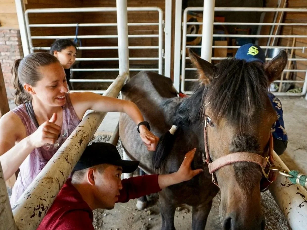 Mongolia+Veterinary+Training+Facility+2.jpg
