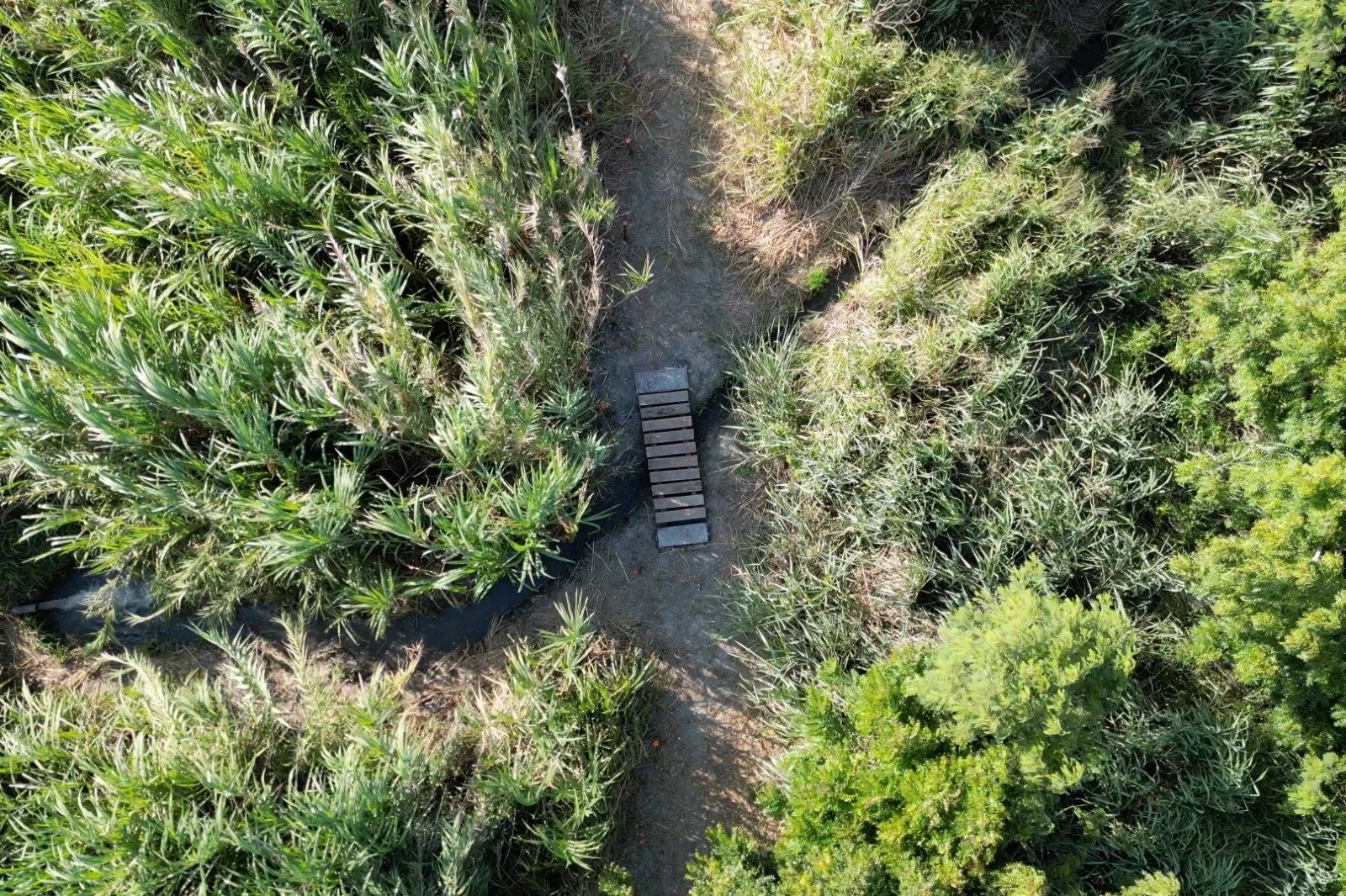 WhatsApp Image 2023-09-05 at 17.09.44.jpeg