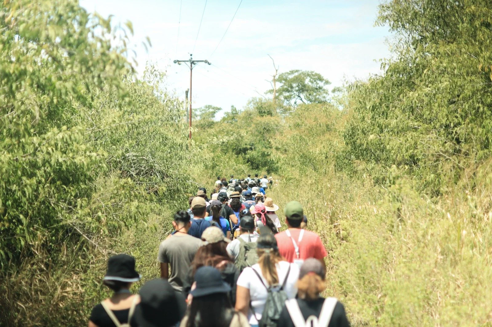 WhatsApp Image 2023-09-05 at 17.09.41(2).jpeg