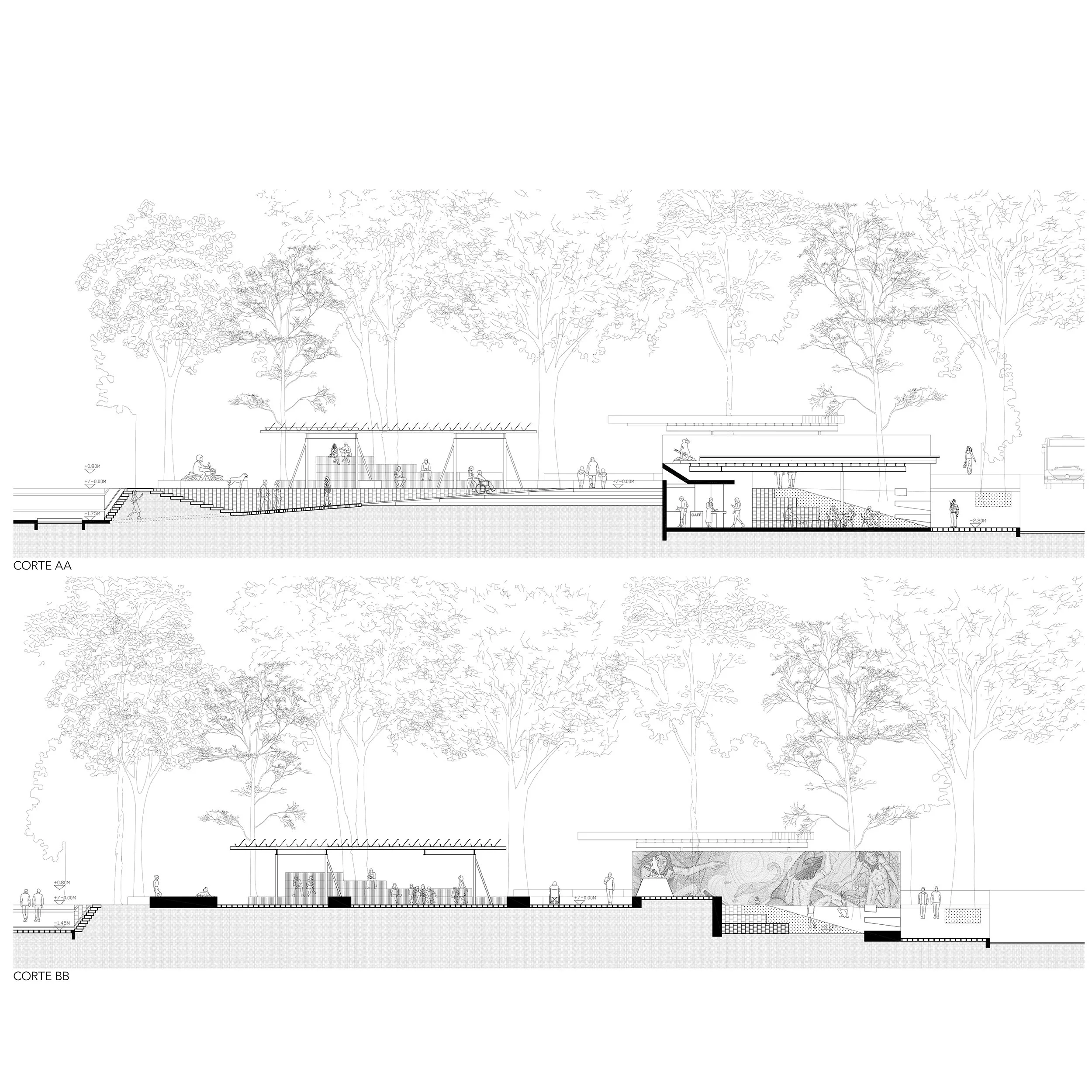 SECTIONS A-2500PPI.jpg
