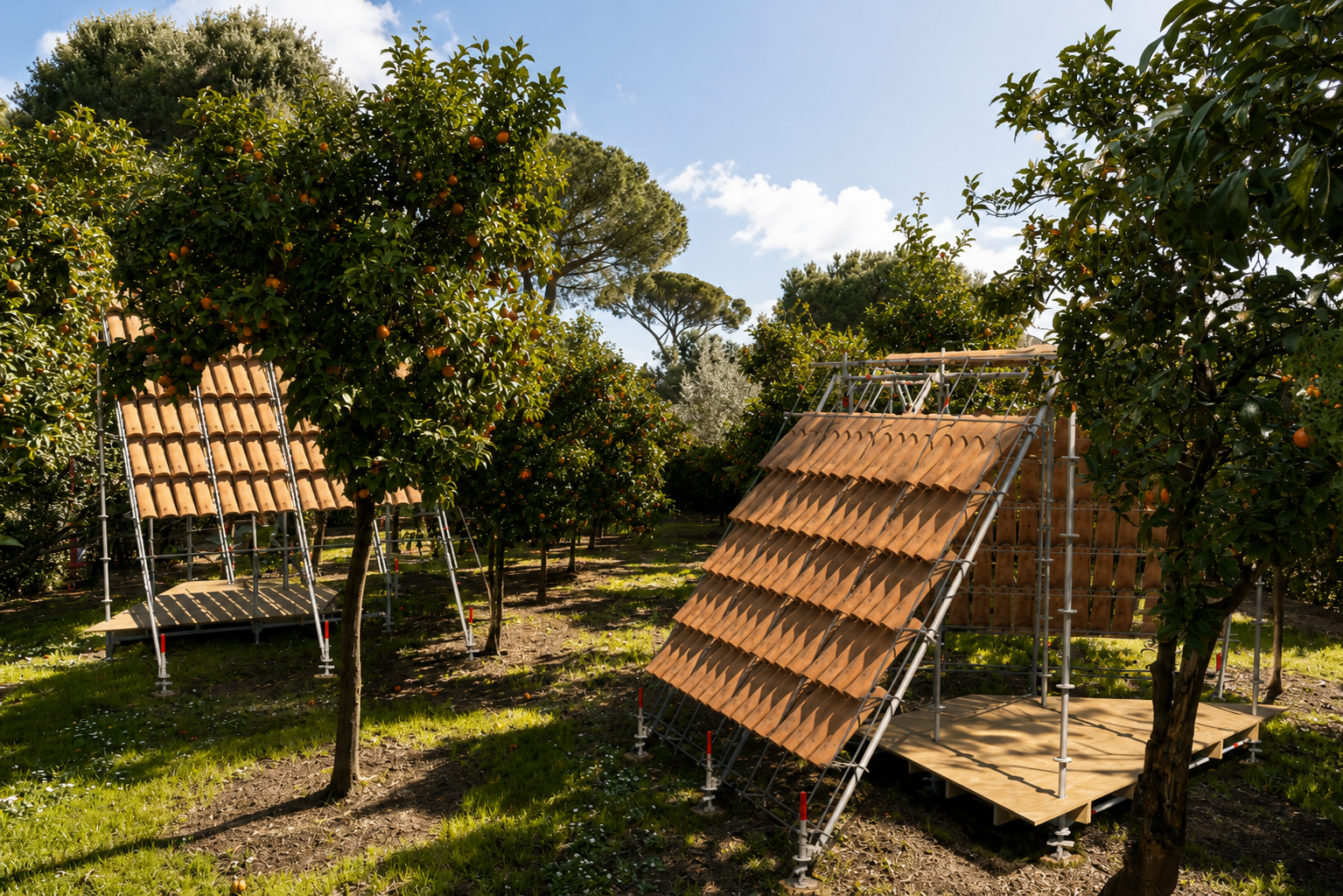 Orchard of Terracotta Scaffolds.png