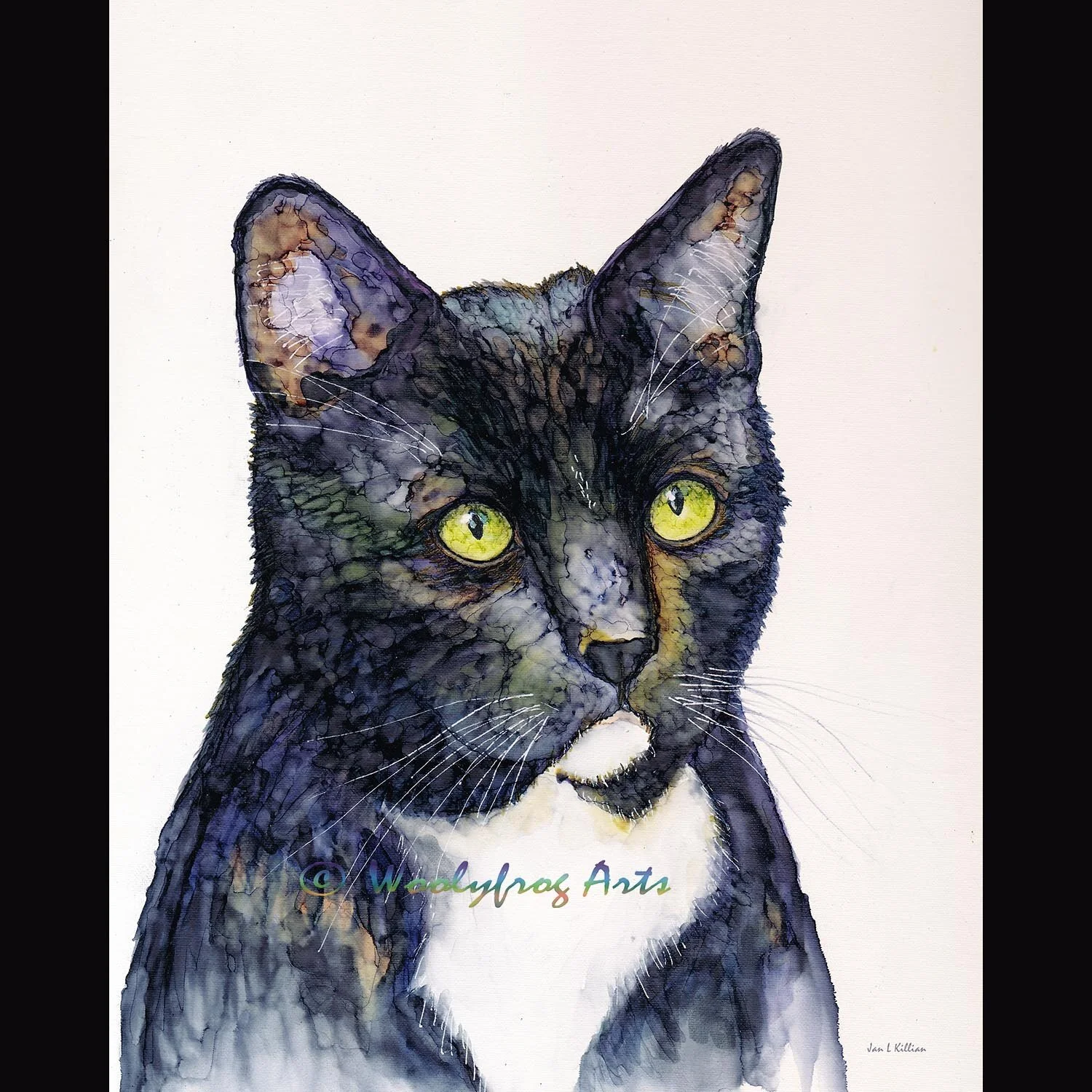 8x10cat.jpg