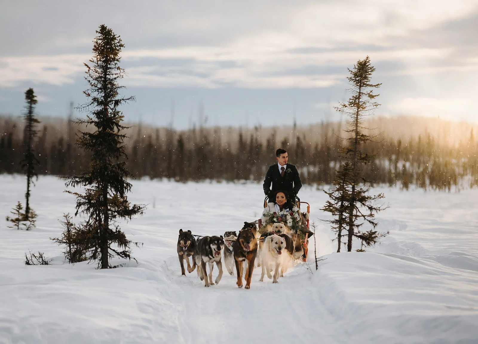 Alaska Dog Mushing Elopement