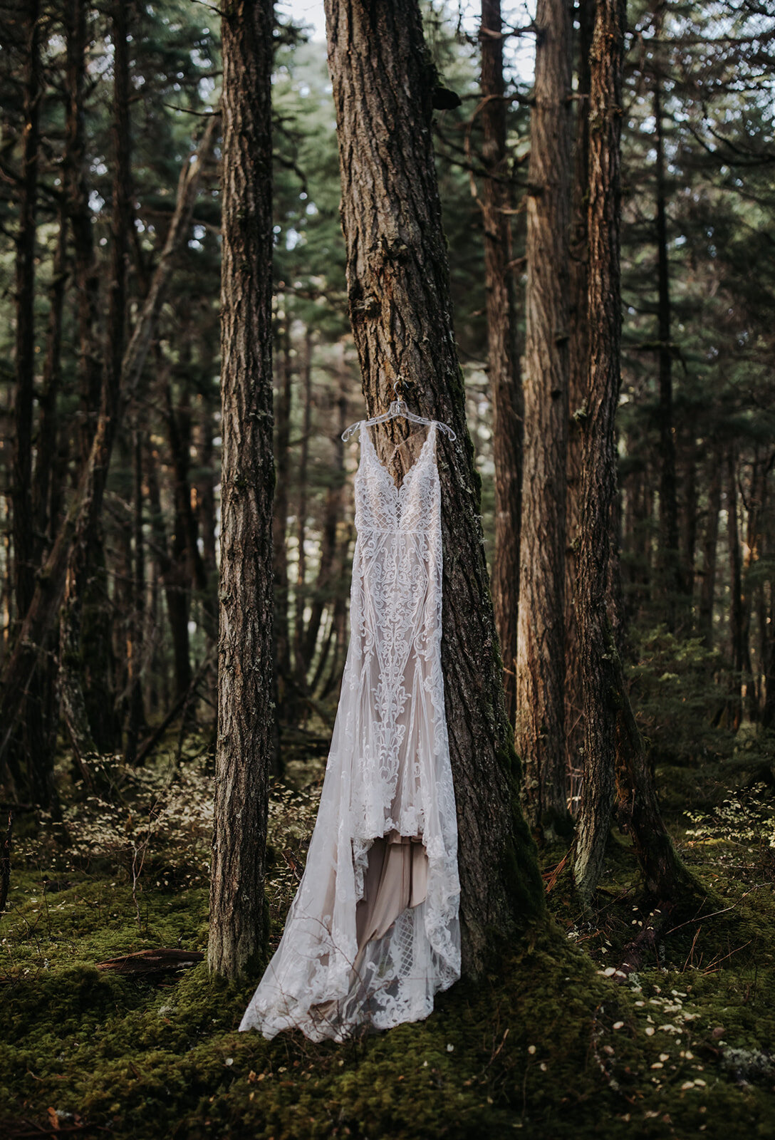 Alaska Adventure Elopement