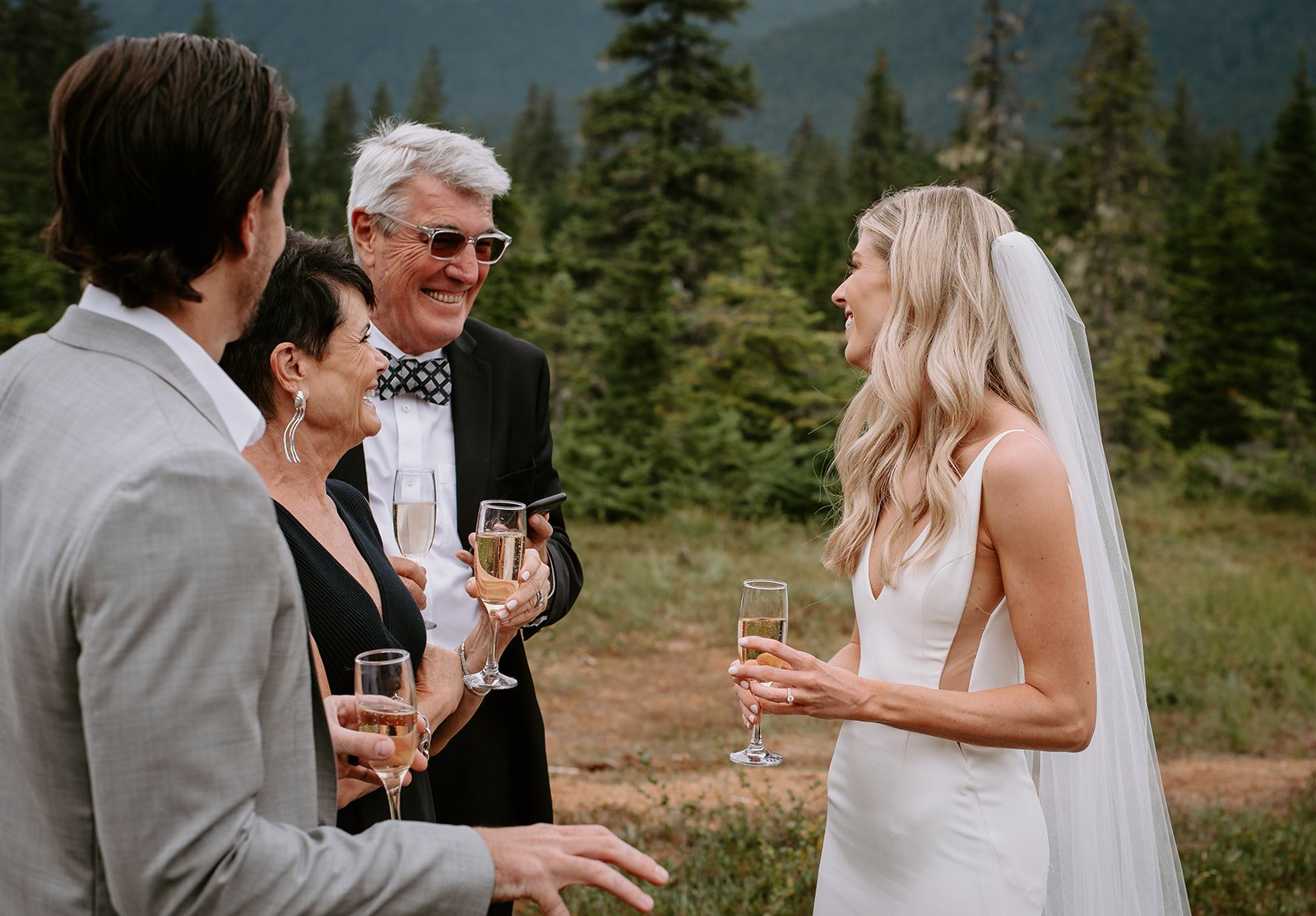 Alaska Wedding 