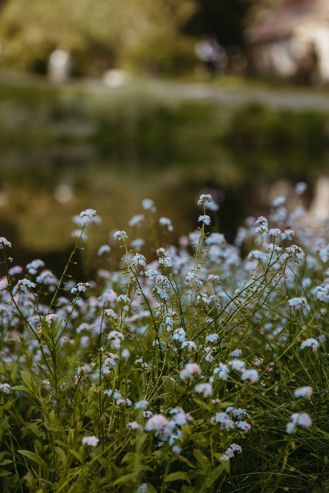 elope in the mountains