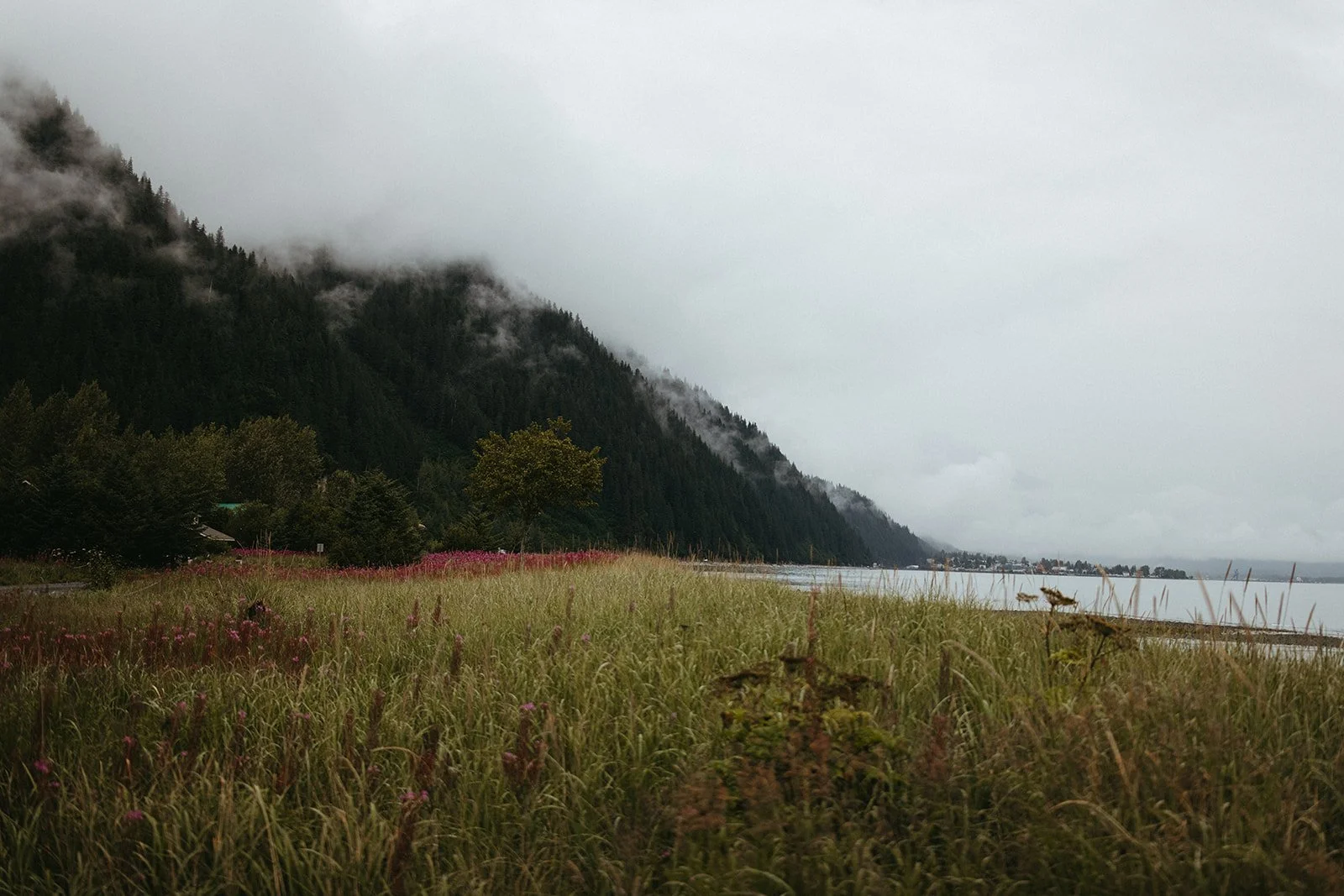 destination wedding in alaska