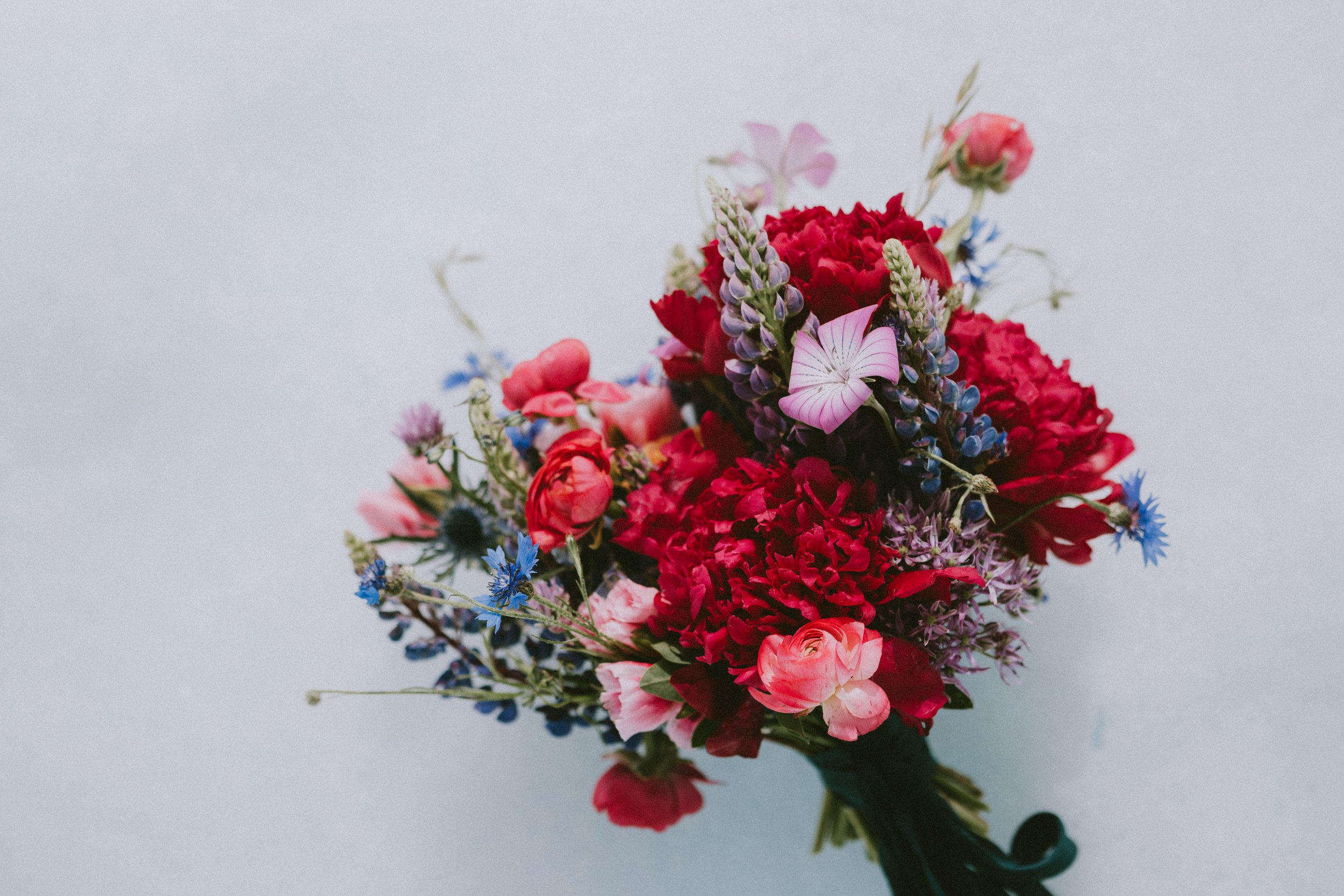 This guide will give you some tips and advice for planning an incredible, one of a kind Alaska glacier elopement!