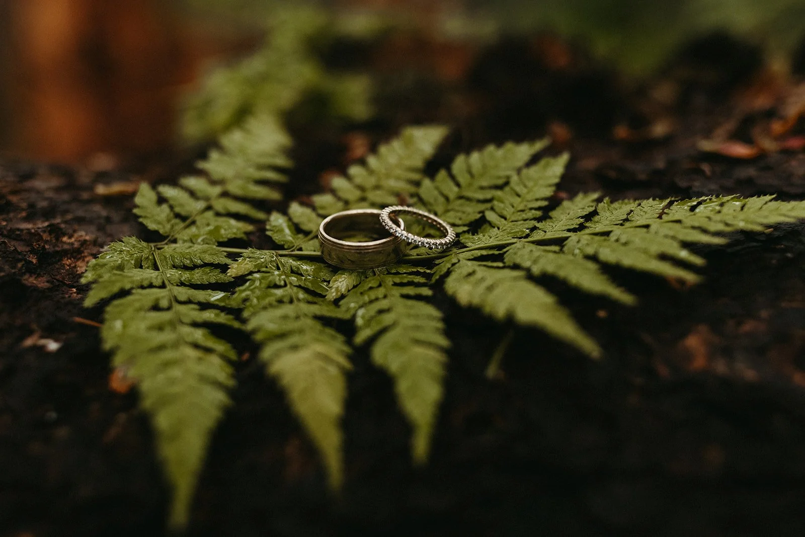 destination wedding in alaska