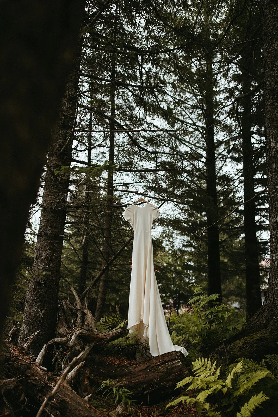 destination wedding in alaska