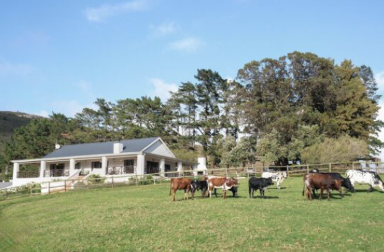 Screenshot 2025-12-29 at 13.59.27.png