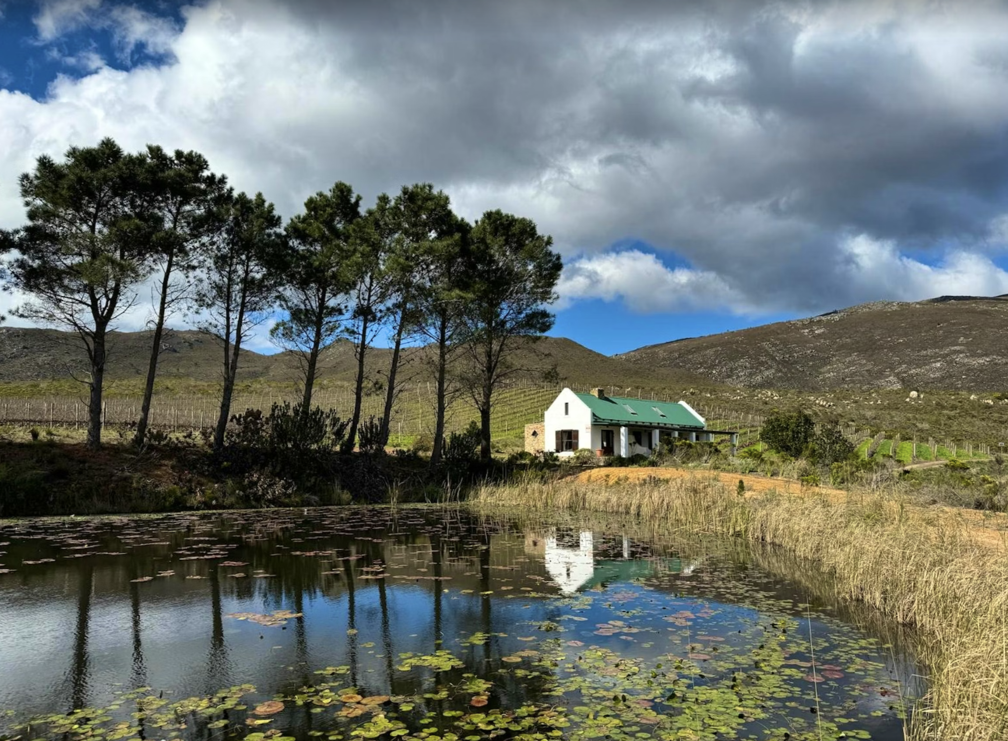 Screenshot 2025-12-29 at 14.23.30.png