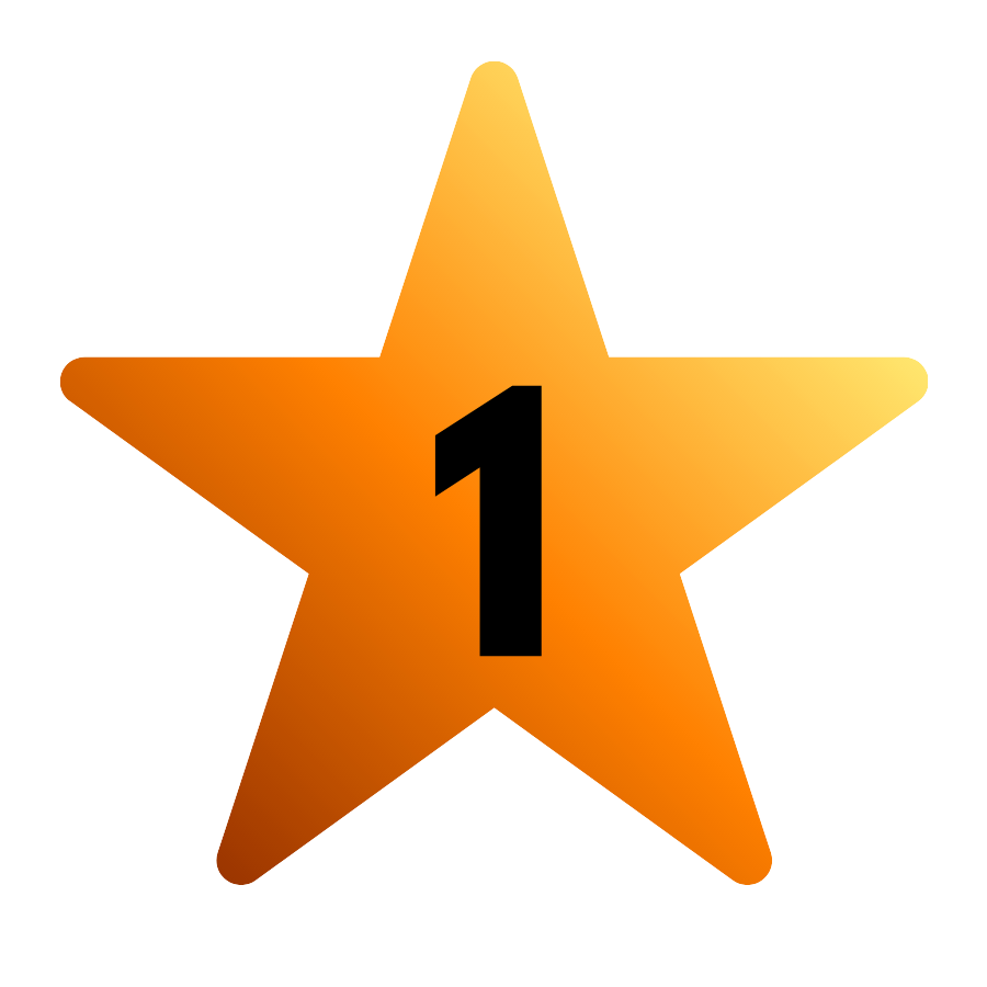 Copy of 5 Star Guarantee.png