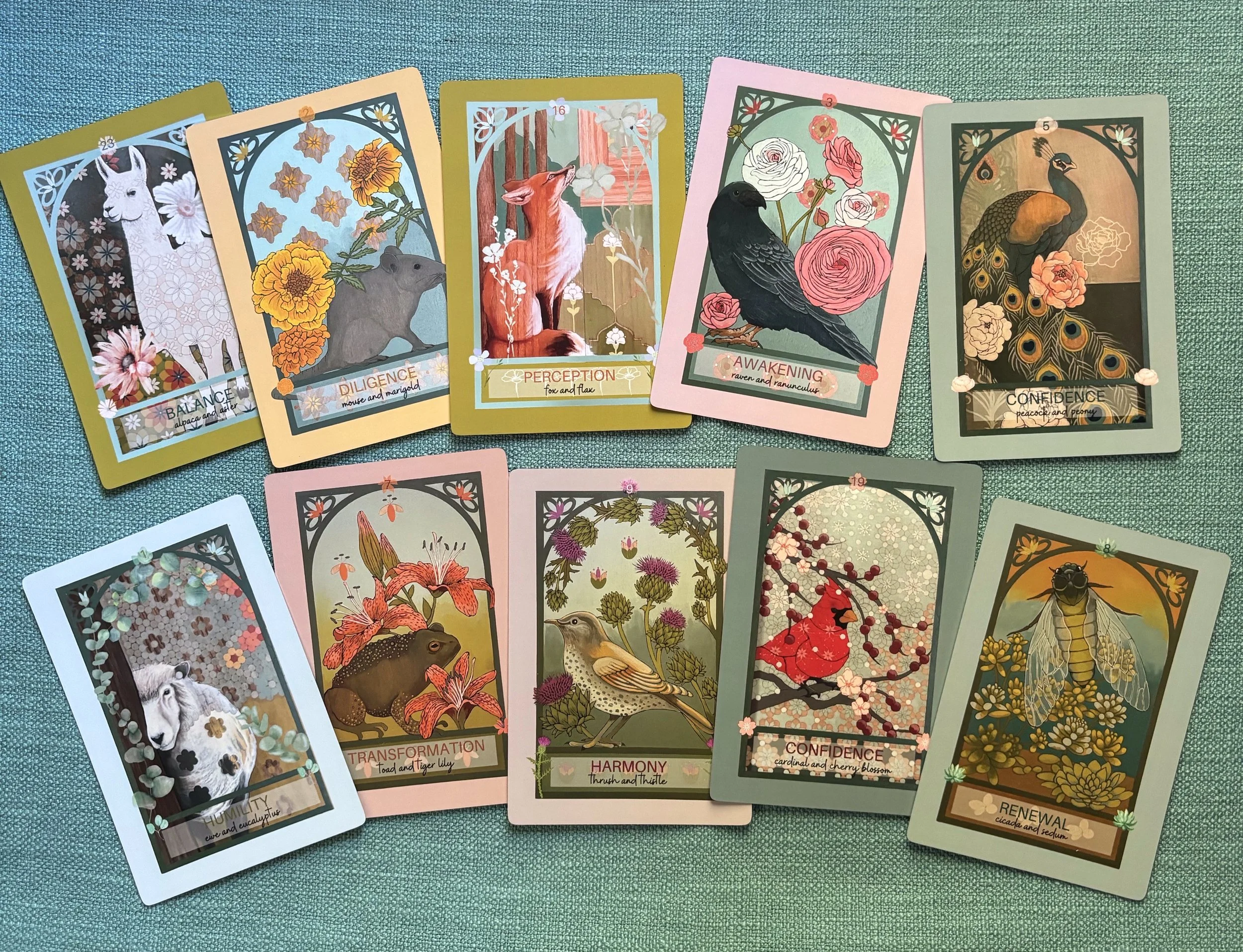 IMG_0061 Edited.jpeg