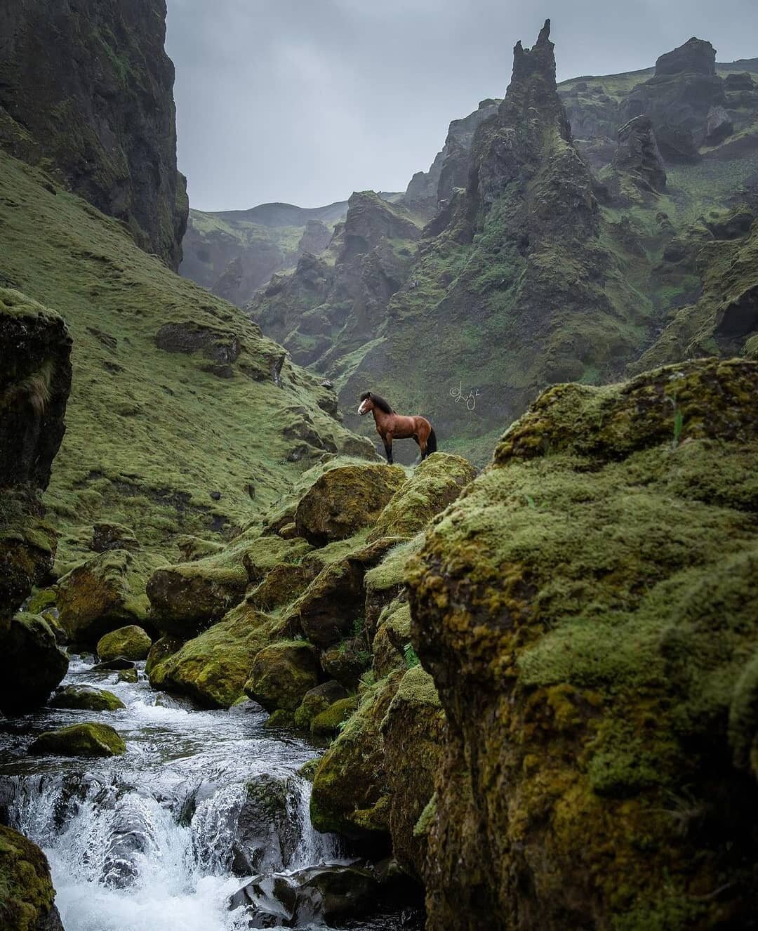 Okay Iceland, you have our hearts! ❤️ This is beautiful @liga.liepinaa, congratulations on your feature!

----------------------------------------------------------------------

What we do:
NOT just another Instagram repost page, we have the privileg