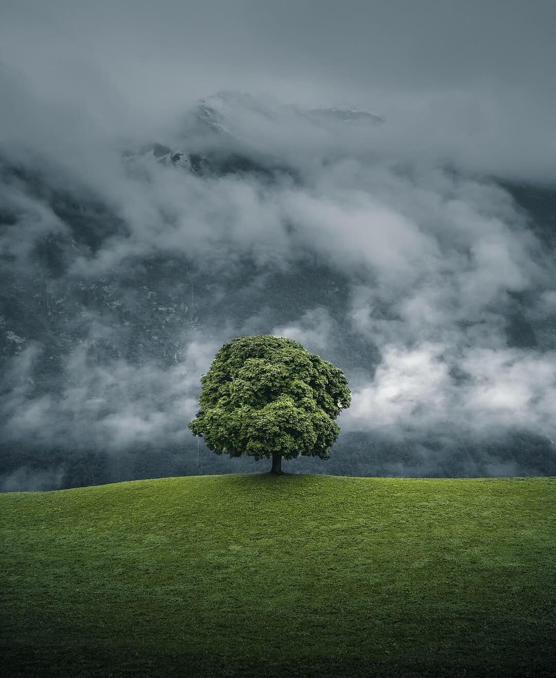 T H I S 💚🌳
Beautiful photo @fabian.huebner, congratulations on your feature! 

----------------------------------------------------------------------

What we do:
NOT just another Instagram repost page, we have the privilege of interviewing some of