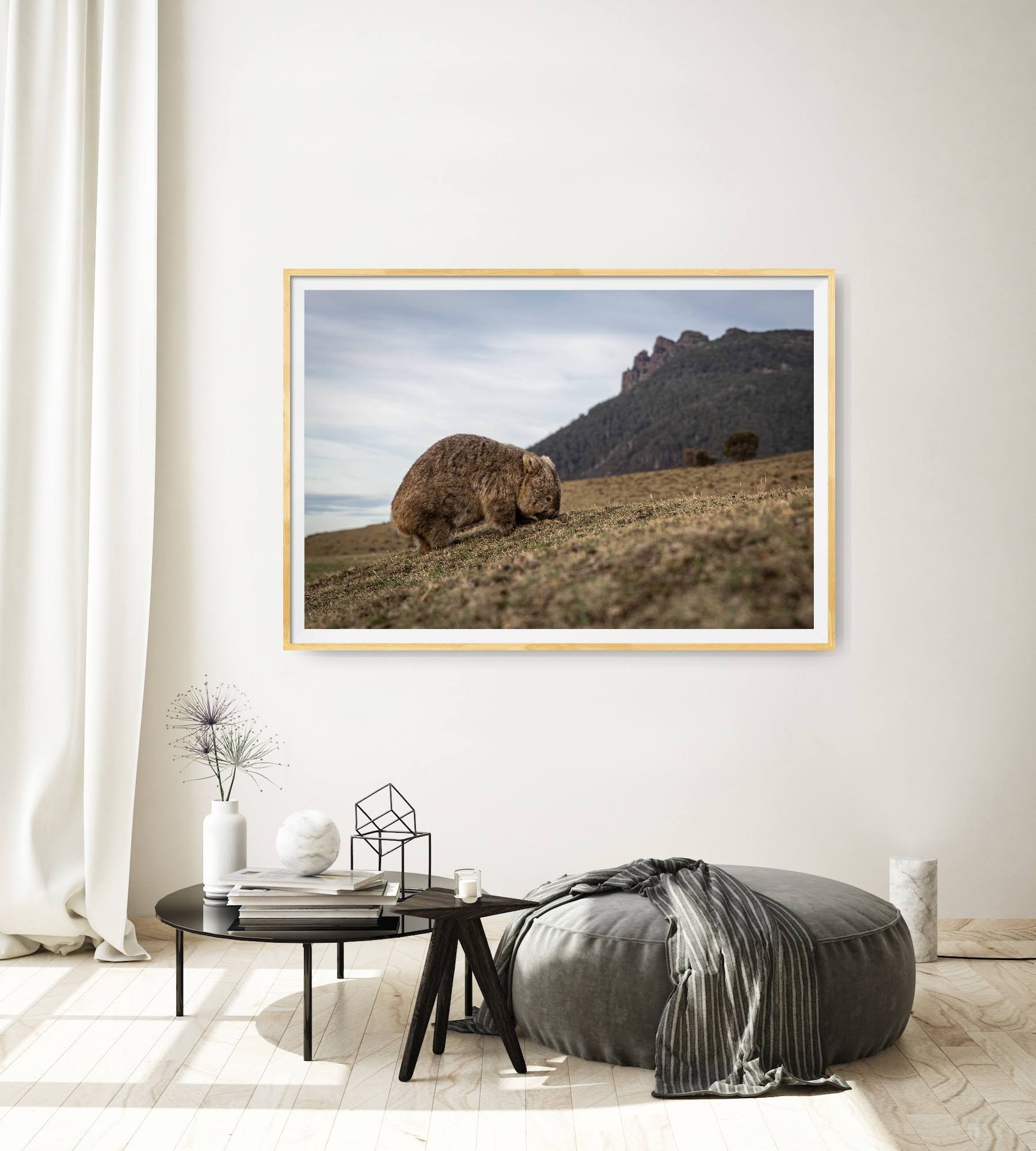 Artrooms20240731124344.jpg