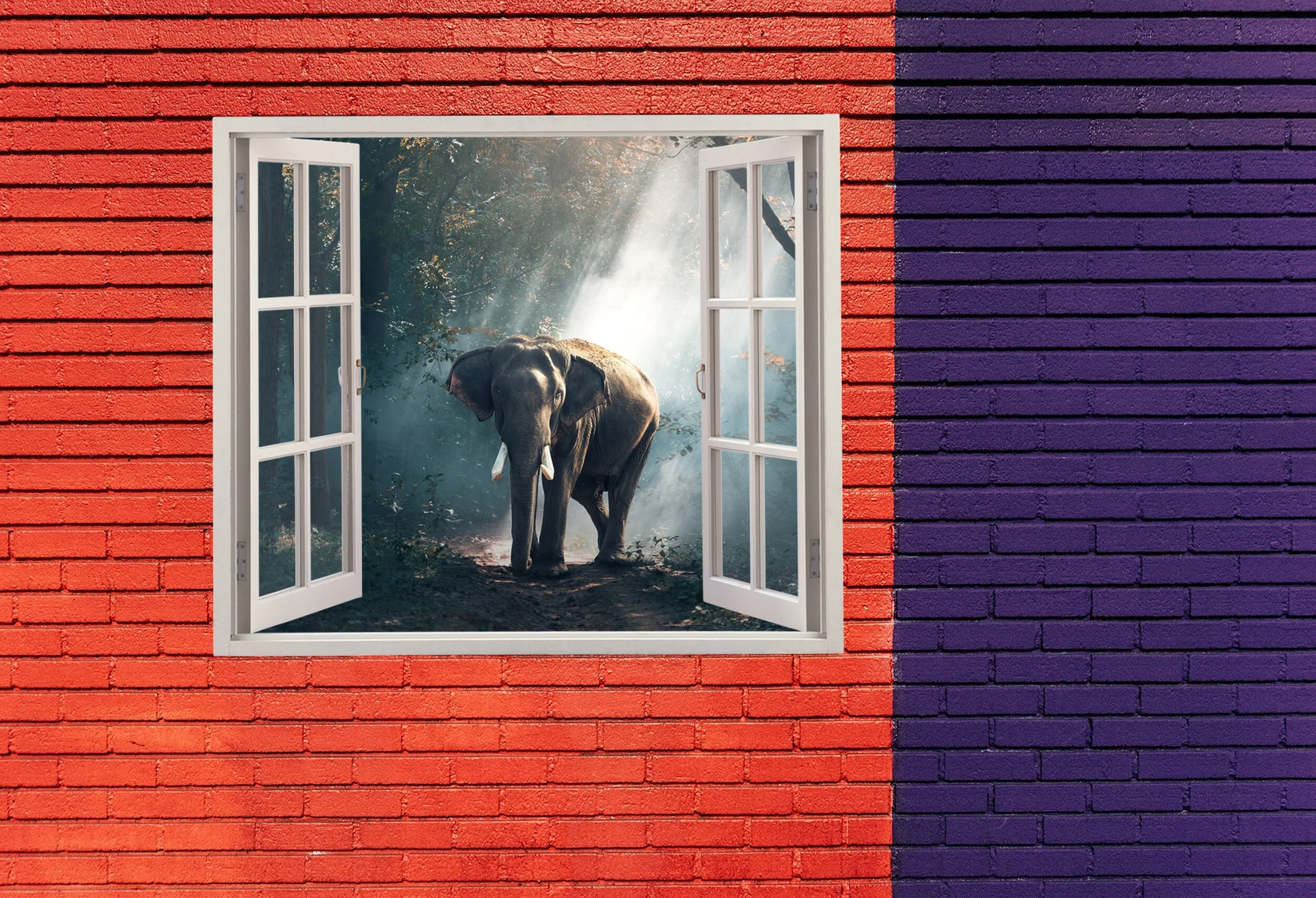 TWC Podcast, Episode 16: The Elephant in the Room