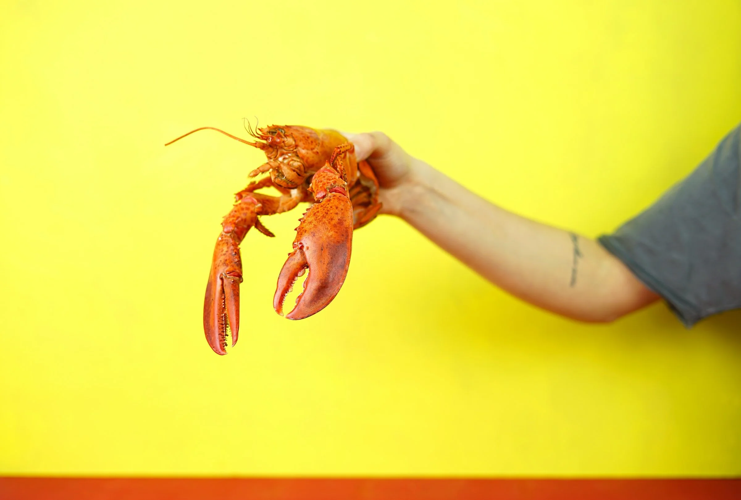 TWC Podcast #33: A Claw Motion