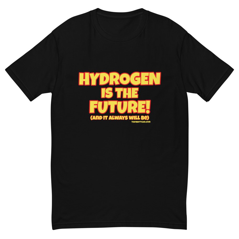 mens-fitted-t-shirt-black-front-61bcdaab5c1b9.jpg