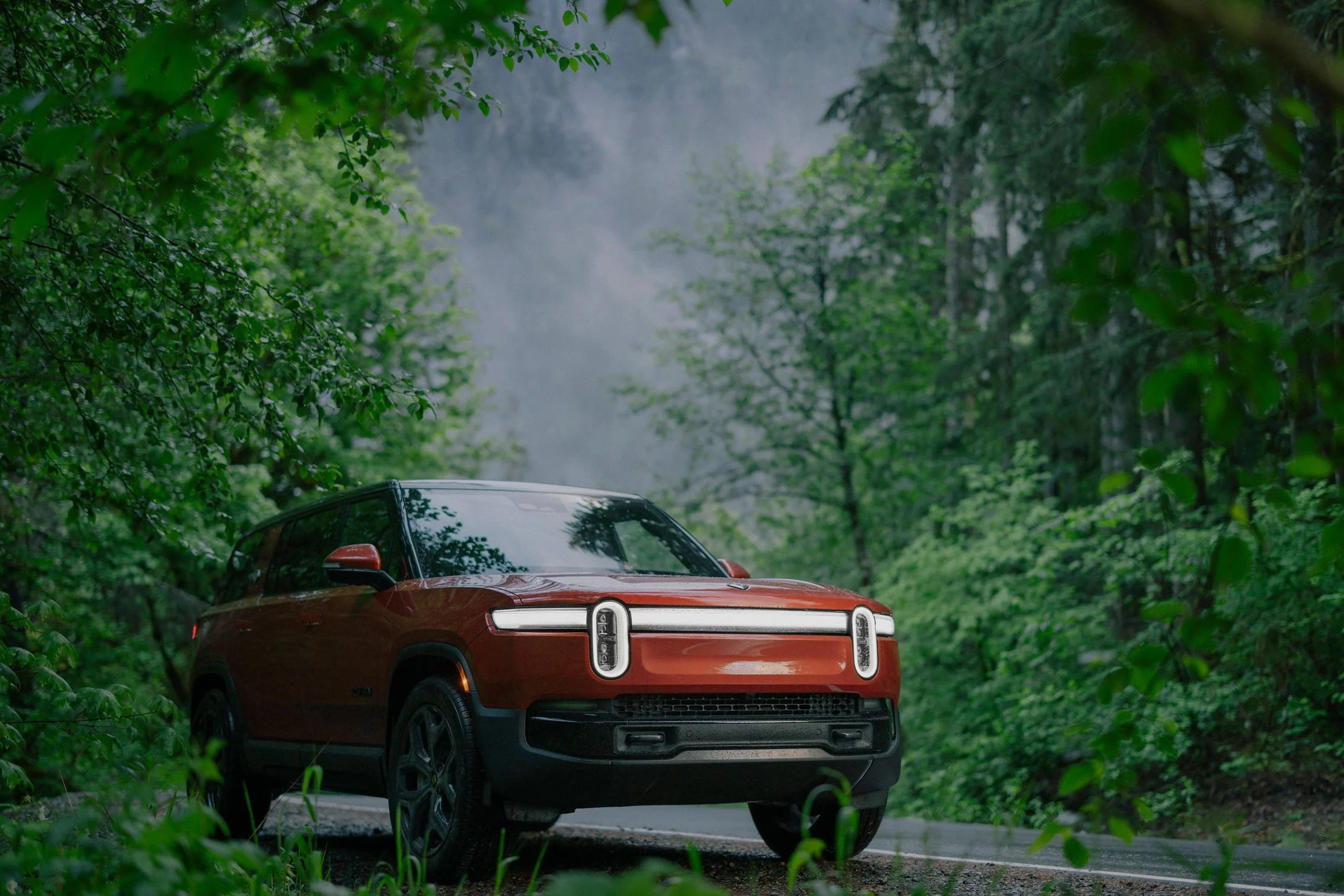 EVs: Stranded Assets or Life-Savers During Natural Disasters?