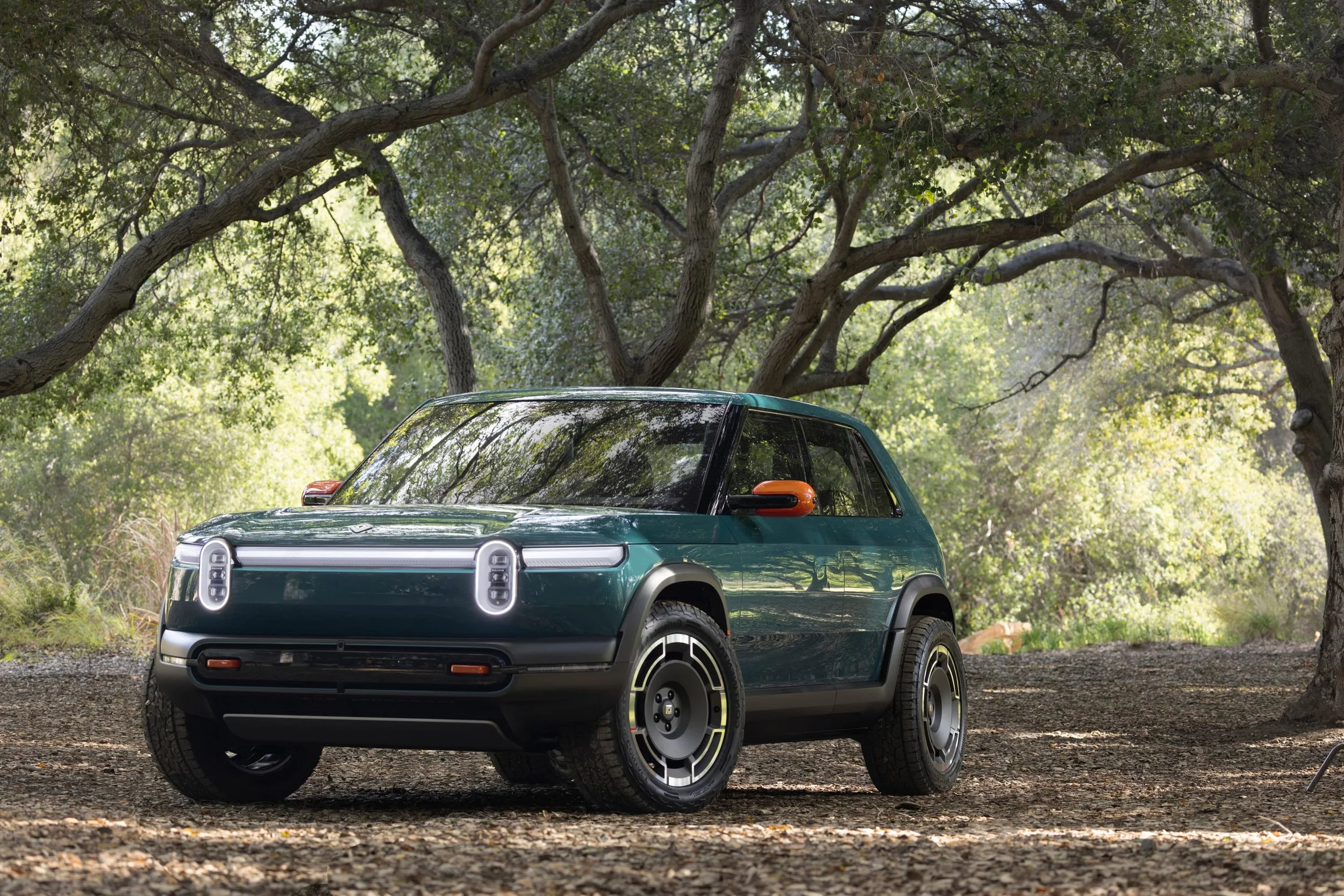 Not a Tesla Hater, But Maybe Not a Lifer
