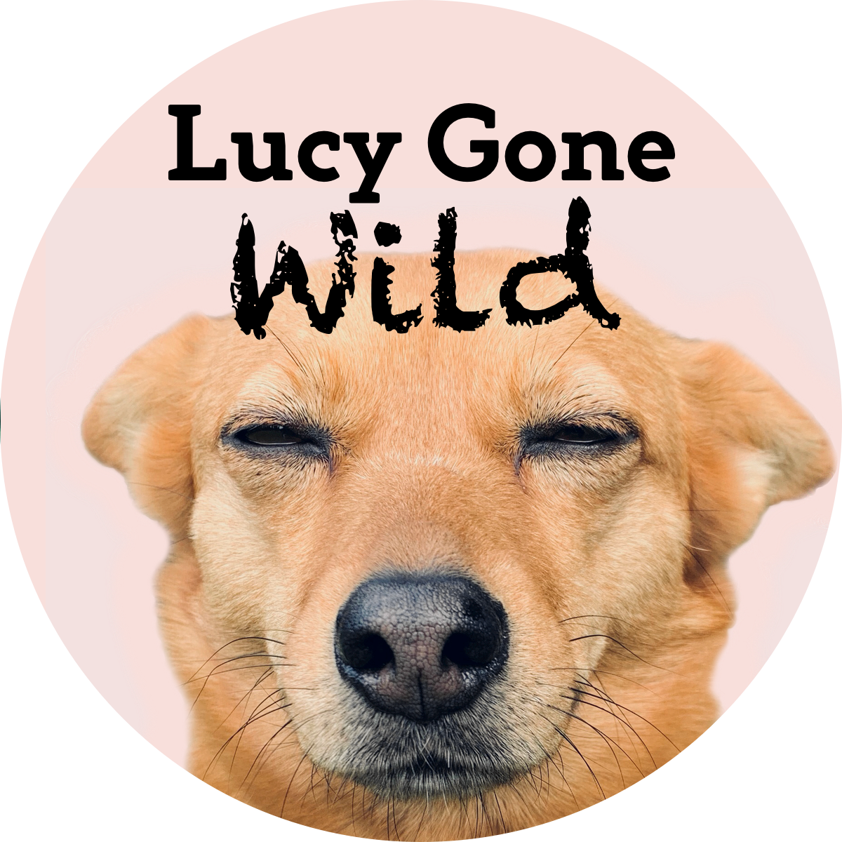 Lucy Gone Wild