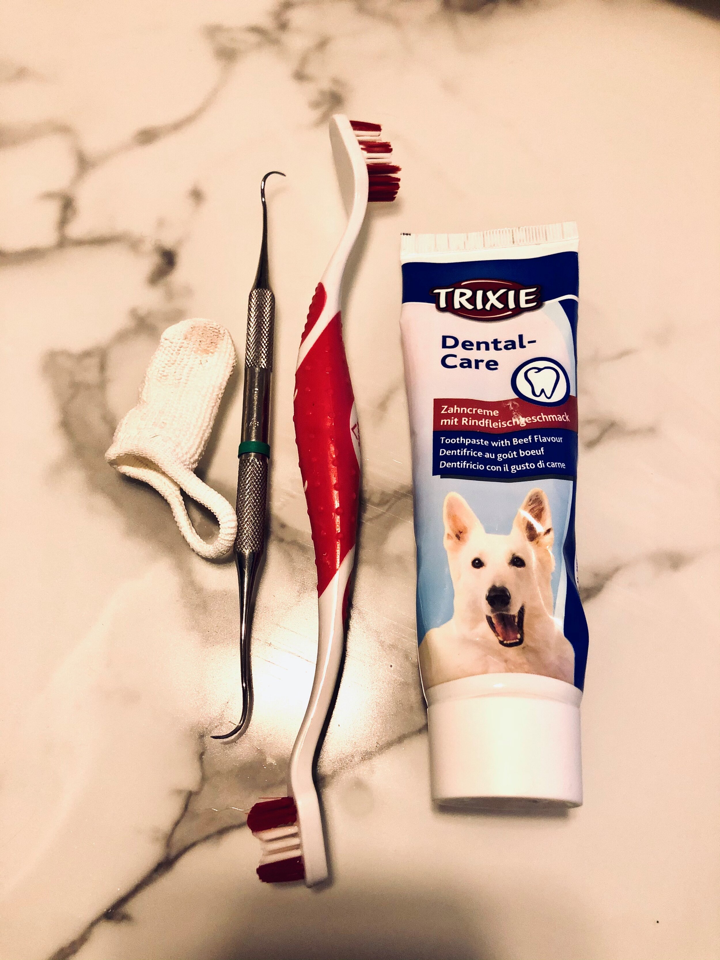 Zahnpflege Hund Werkezug.jpg