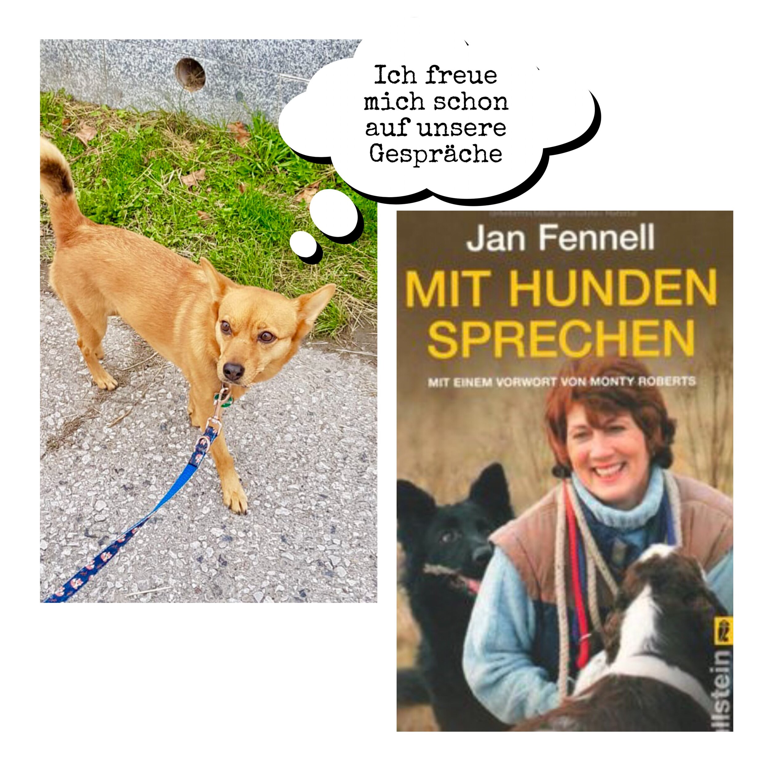 “Mit Hunden sprechen”